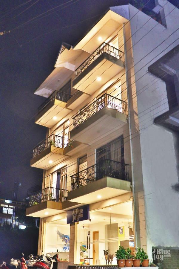 The Blue Jay Hostel - Dorms & Rooms Rishikesh Bagian luar foto
